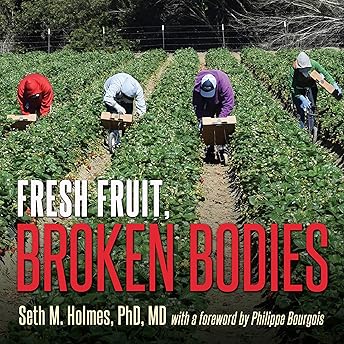 Fresh Fruit, Broken Bodies Audiobook by Seth Holmes episode artwork