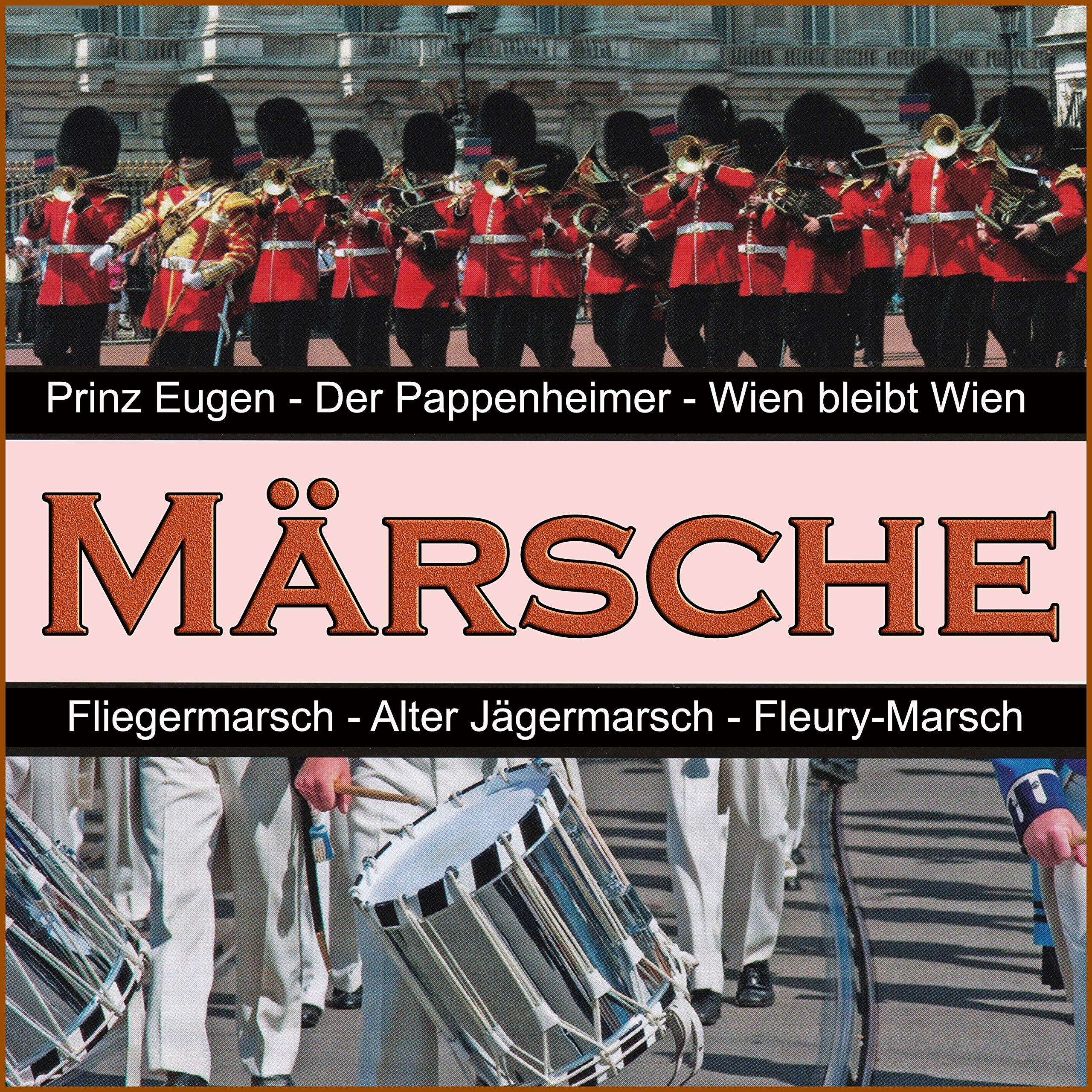 Das Marine-Musikkorps Ostsee