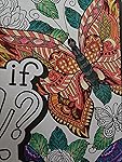 Review Image by 1littlesnowgirl 1littlesnowgirl