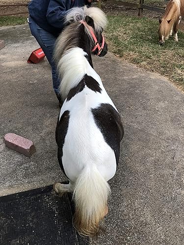 Miniatura 8 de Animales de peluche Rosie - Juguete de peluche de conejillo de indias de 10 pulgadas - Basado en mascotas adoptadas de la vida real - Beneficiando
