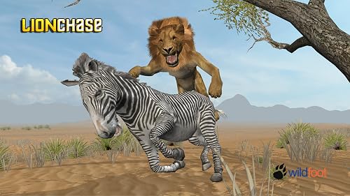 Lion Chase – vue 2