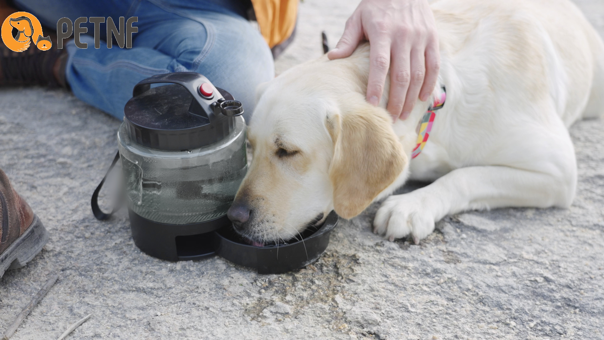 Pet Supplies : Portable Dog Water Bottle Bowl - 56 oz Travel Water