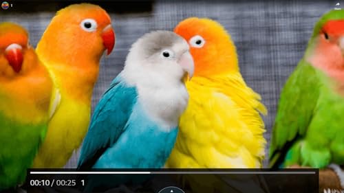 Dolby Vision 4K Screensaver - Colorful 4K with Relaxing Music Screensaver for Fire TV