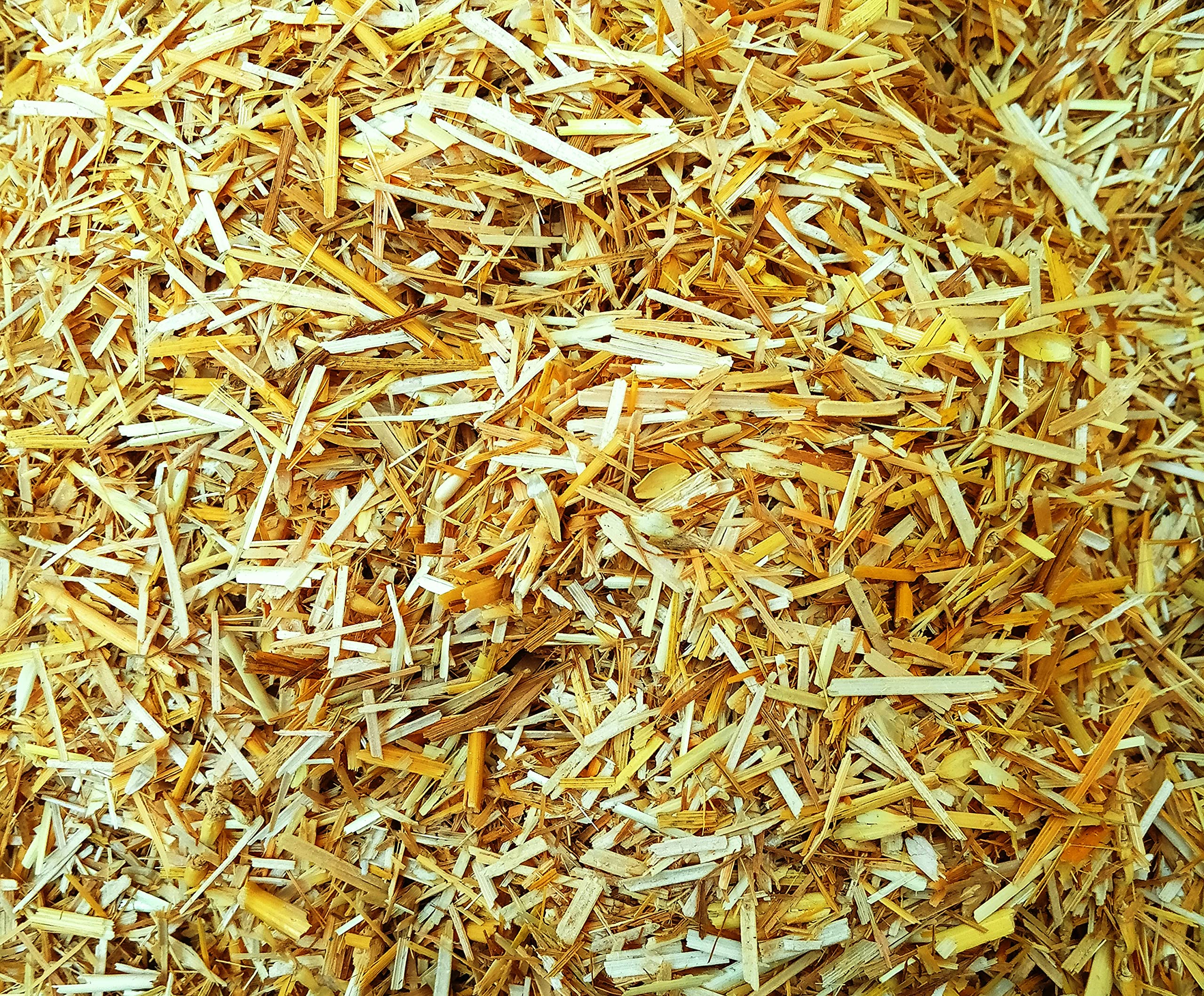 CSPARK Band Natural and Organic Wheat Straw(2 kg) for Mushroom - Shrubs and General beds Mulch,Mushroom Farming and Gardening,100% Natural (B094R2WLCS) Amazon Price History, Amazon Price Tracker