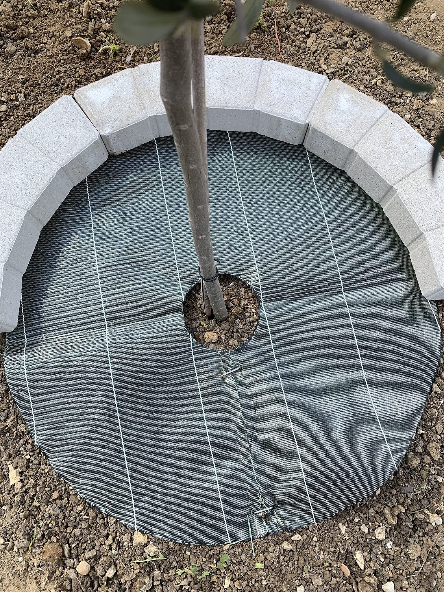 5 disques en Toile de paillage avec 10 agrafes diamètre 80 cm - Jardin