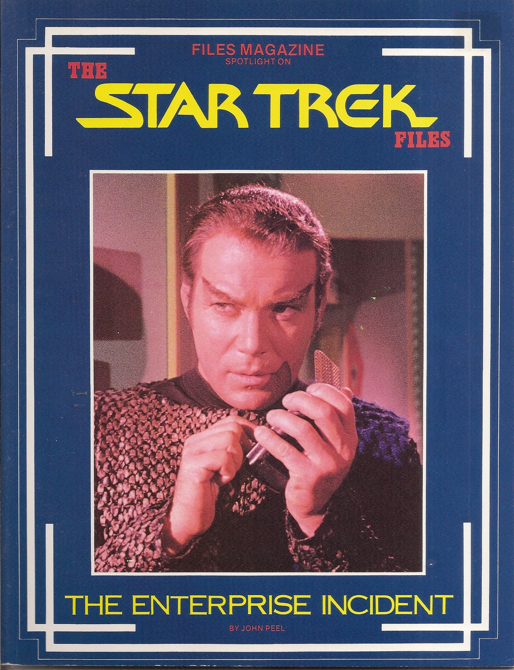 Cover of The Enterprise Incident