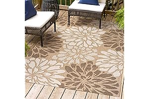 JONATHAN Y Zinnia 4x6 Indoor Outdoor Area Rug