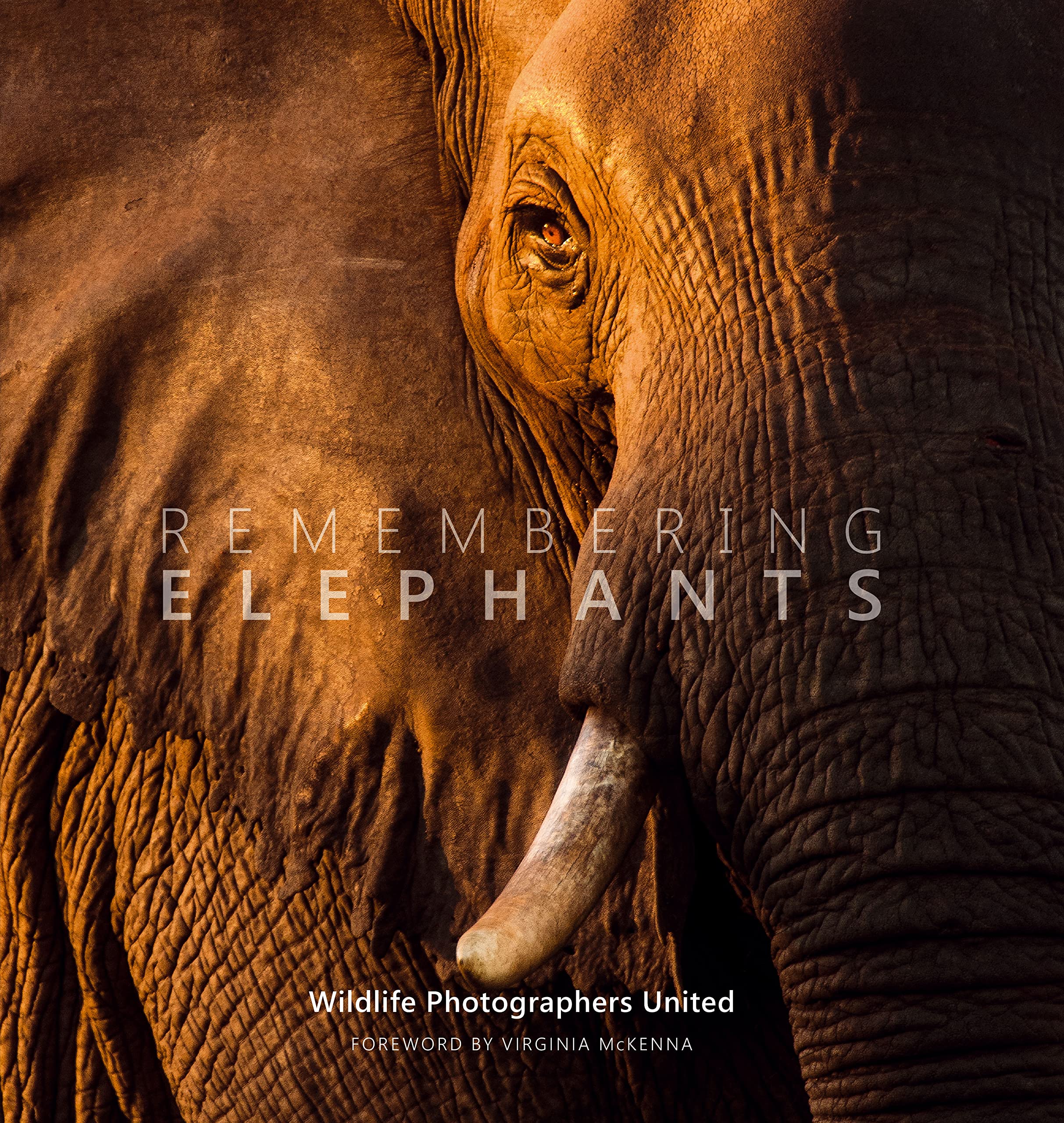 Remembering Elephants Hardcover – July 17, 2020