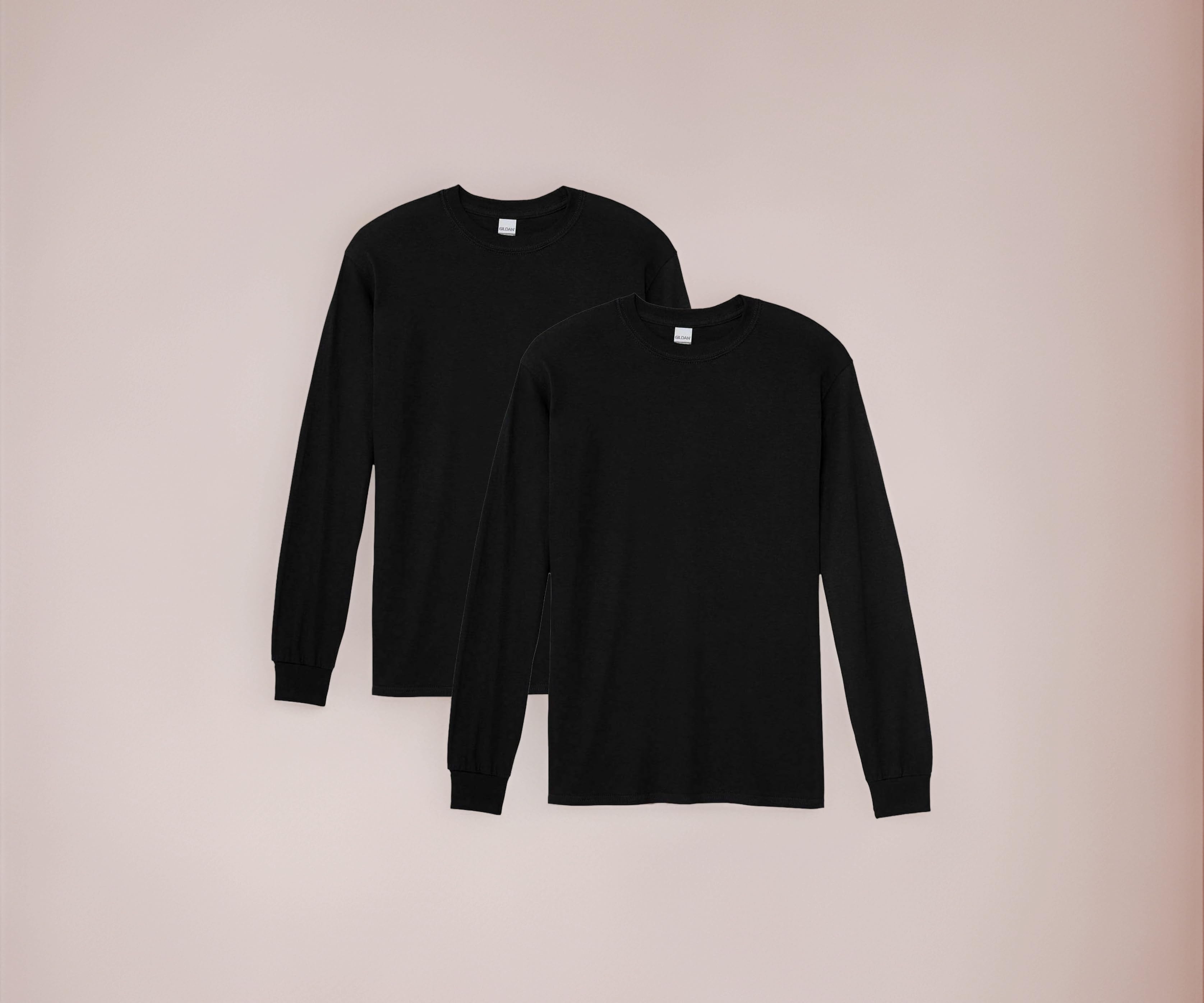 Men's Heavy Cotton Long Sleeve T-Shirt, Style G5400, 2-Pack