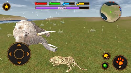Clan of Cheetahs