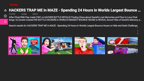 Spy Ninjas by Chad & Vy