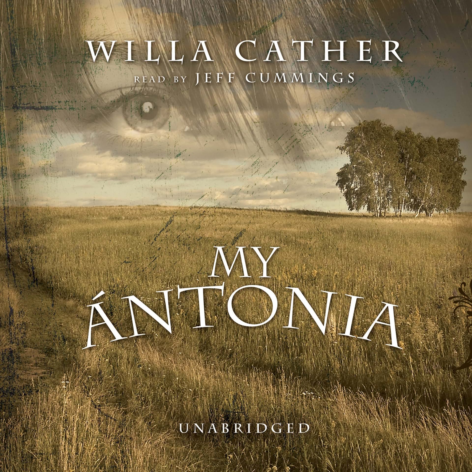 cover-image