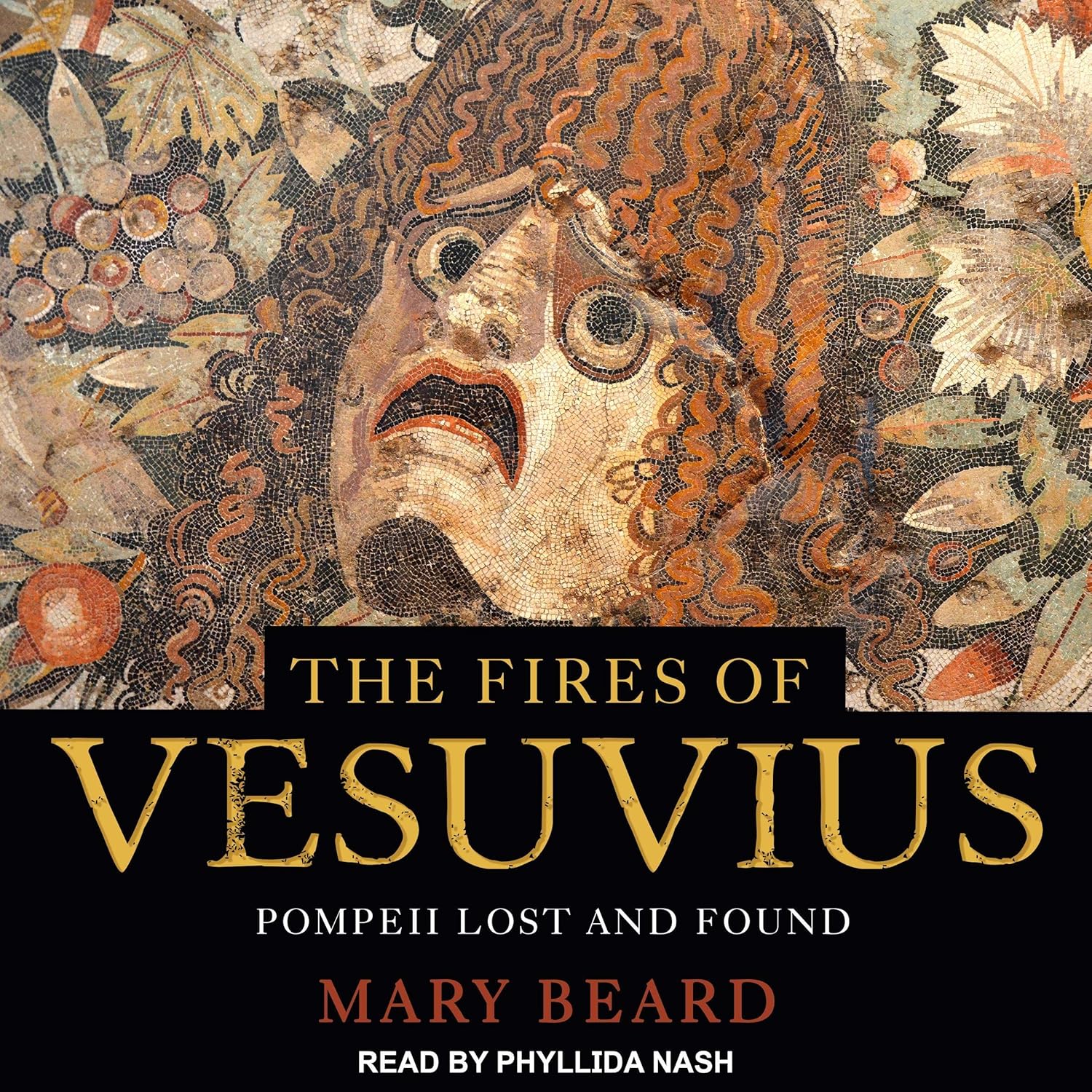 The Fires of Vesuvius: Pompeii Lost and Found    
	                
	            

                 
                        Audible Audiobook 
                  
                        – Unabridged