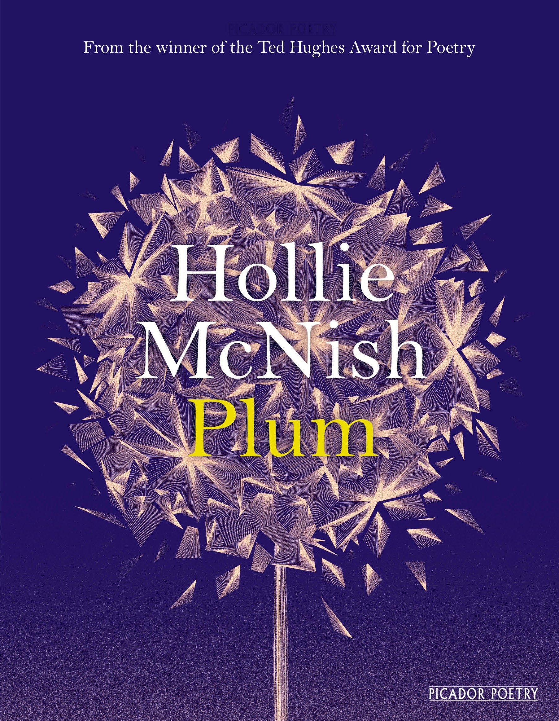 Plum Hollie McNish