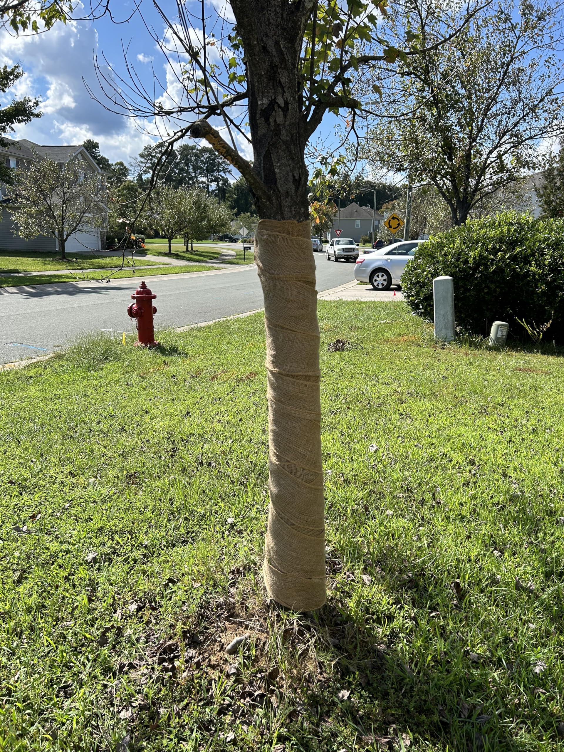 3-Pack Burlap Fabric Ribbon Natural Roll DIY (6Inch X 15yards) Tree Protector Wrap Plant Bandage Packing Winter Proof, Craft & Hobby Fabric, Warm Keeping and Moisture