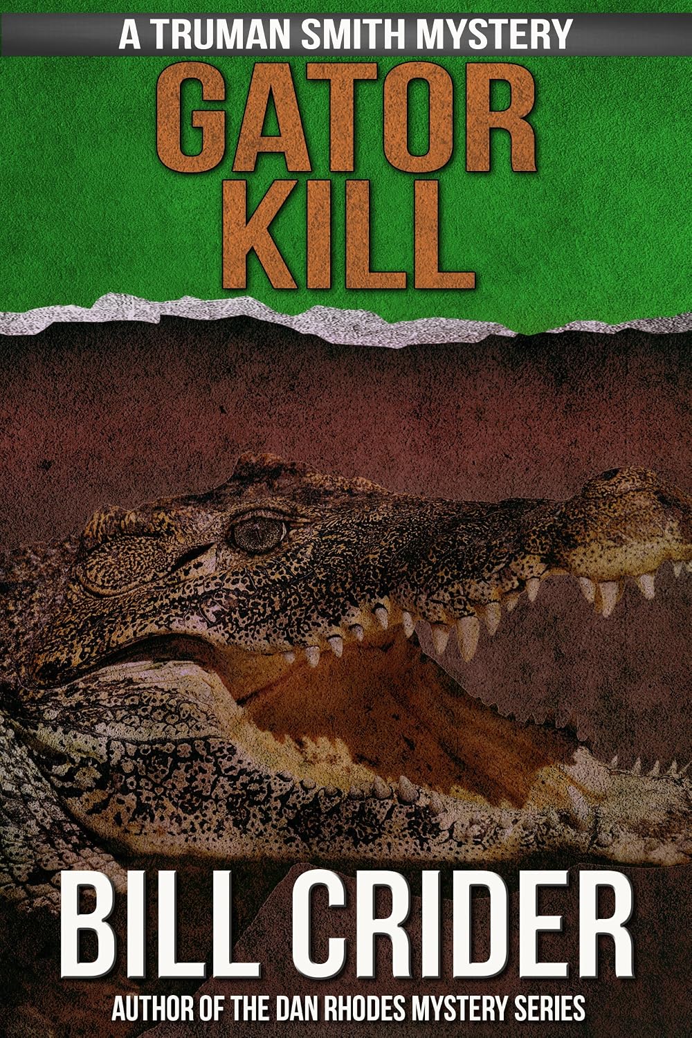 Gator Kill (Truman Smith Private Eye Book 2) Kindle edition