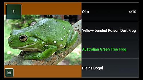 Quiz de curiosidades de espécies de anfíbios