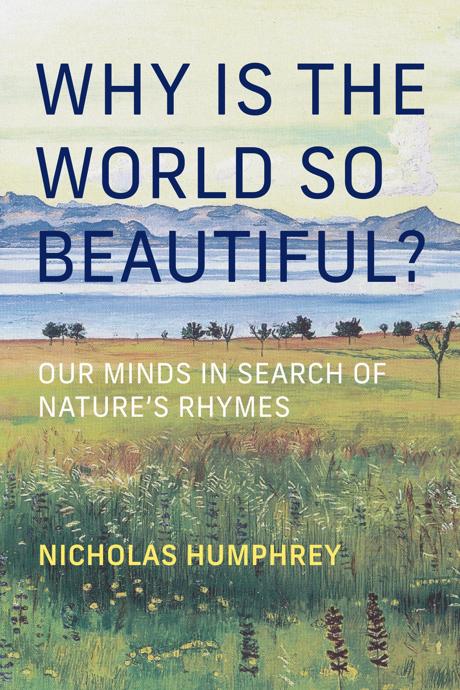 Why Is the World So Beautiful?: Our Minds in Search of Nature's Rhymes