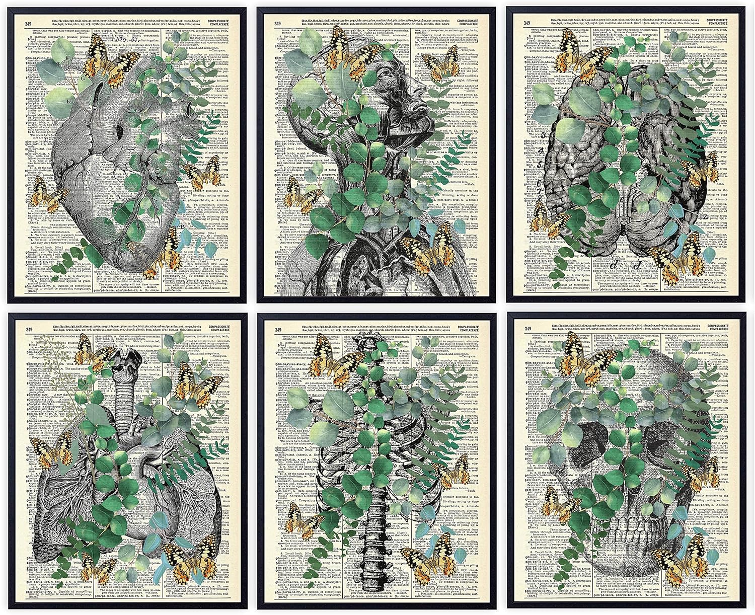 Anatomy with Eucalyptus and Butterflies, Vintage Dictionary Art Print, Modern Contemporary Wall Art For Home Decor, Boho Art Print Poster, Farmhouse Wall Decor 8x10 Inches, Unframed (6 Piece Set)