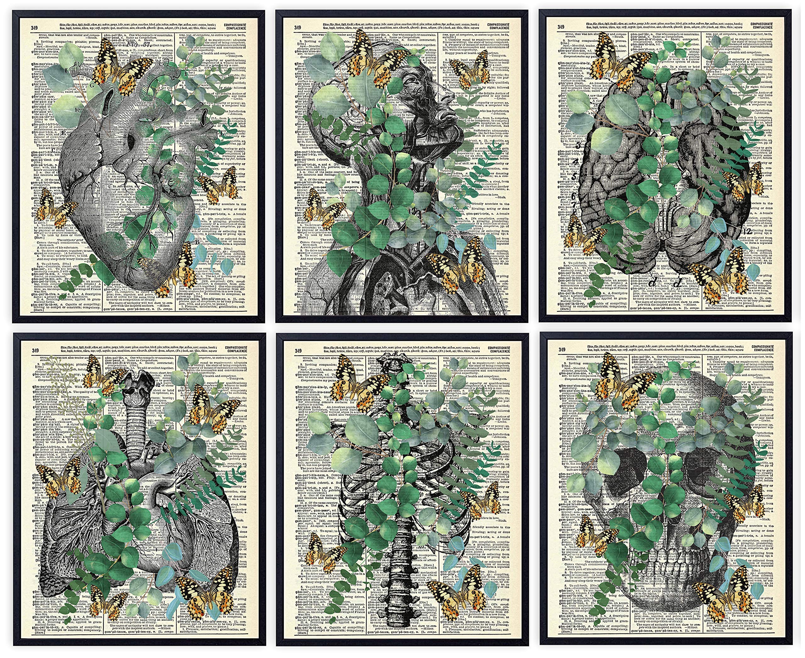 Anatomy with Eucalyptus and Butterflies, Vintage Dictionary Art Print, Modern Contemporary Wall Art For Home Decor, Boho Art Print Poster, Farmhouse
