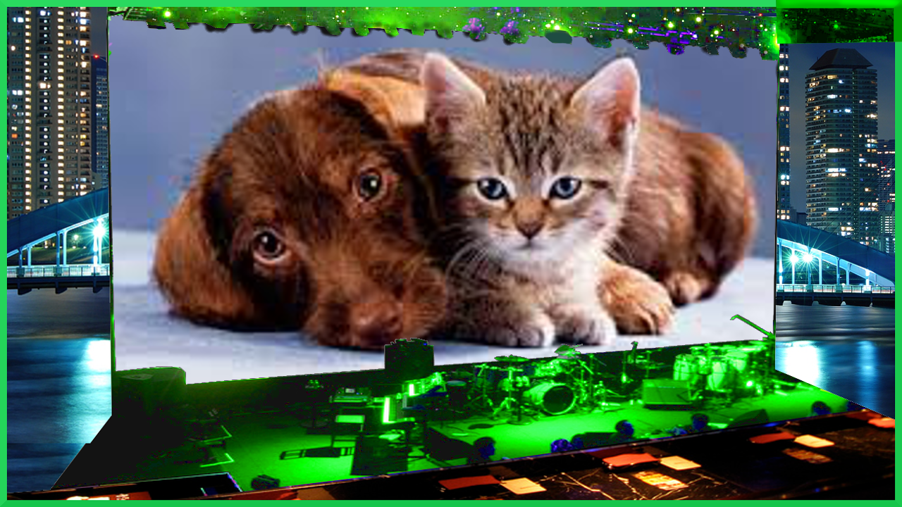 Live Billboard Frame PhotoAmazon.inAppstore for Android