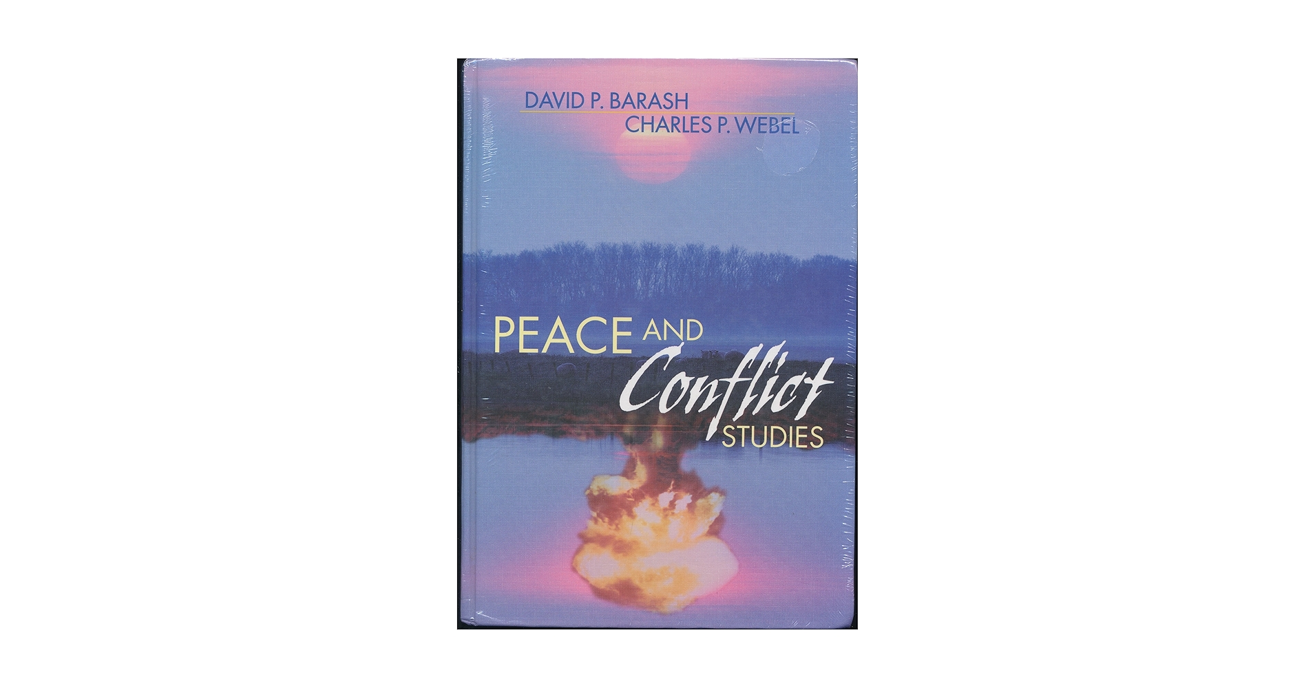 Amazon.com: Peace and Conflict Studies: 9780761925071