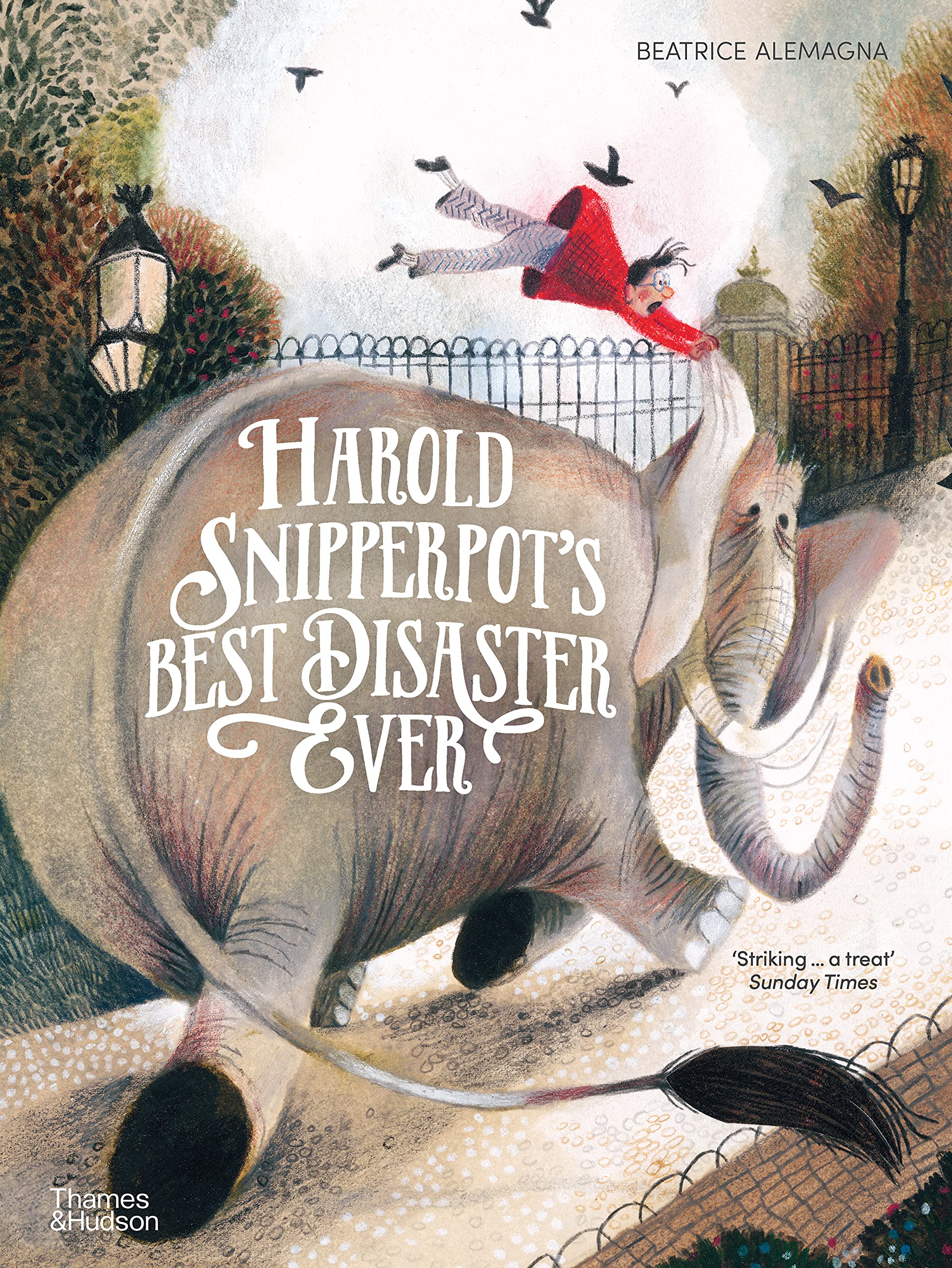 Harold Snipperpot’s Best Disaster Ever by Beatrice Alemagna (Paperback Book)