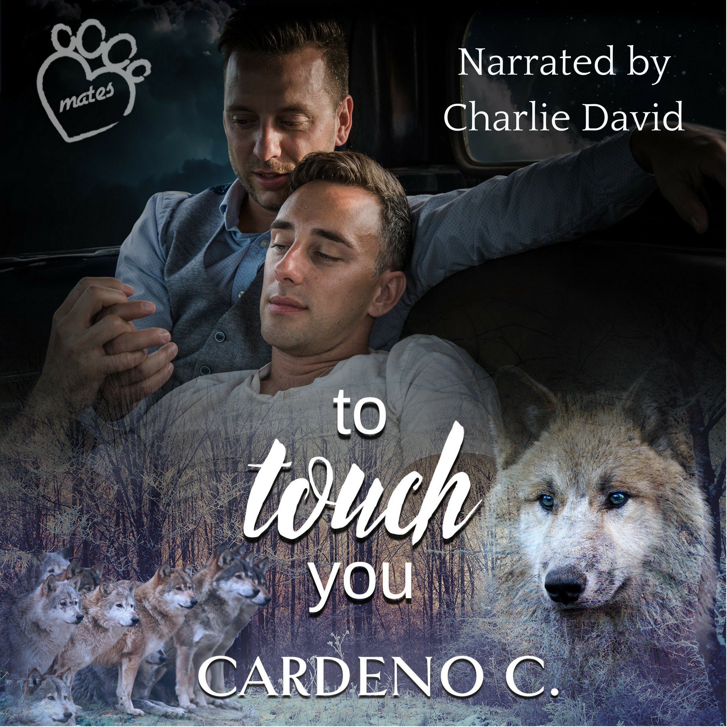 Cover art for To Touch You