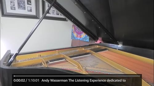 Andy Wasserman - Previouse Concerts