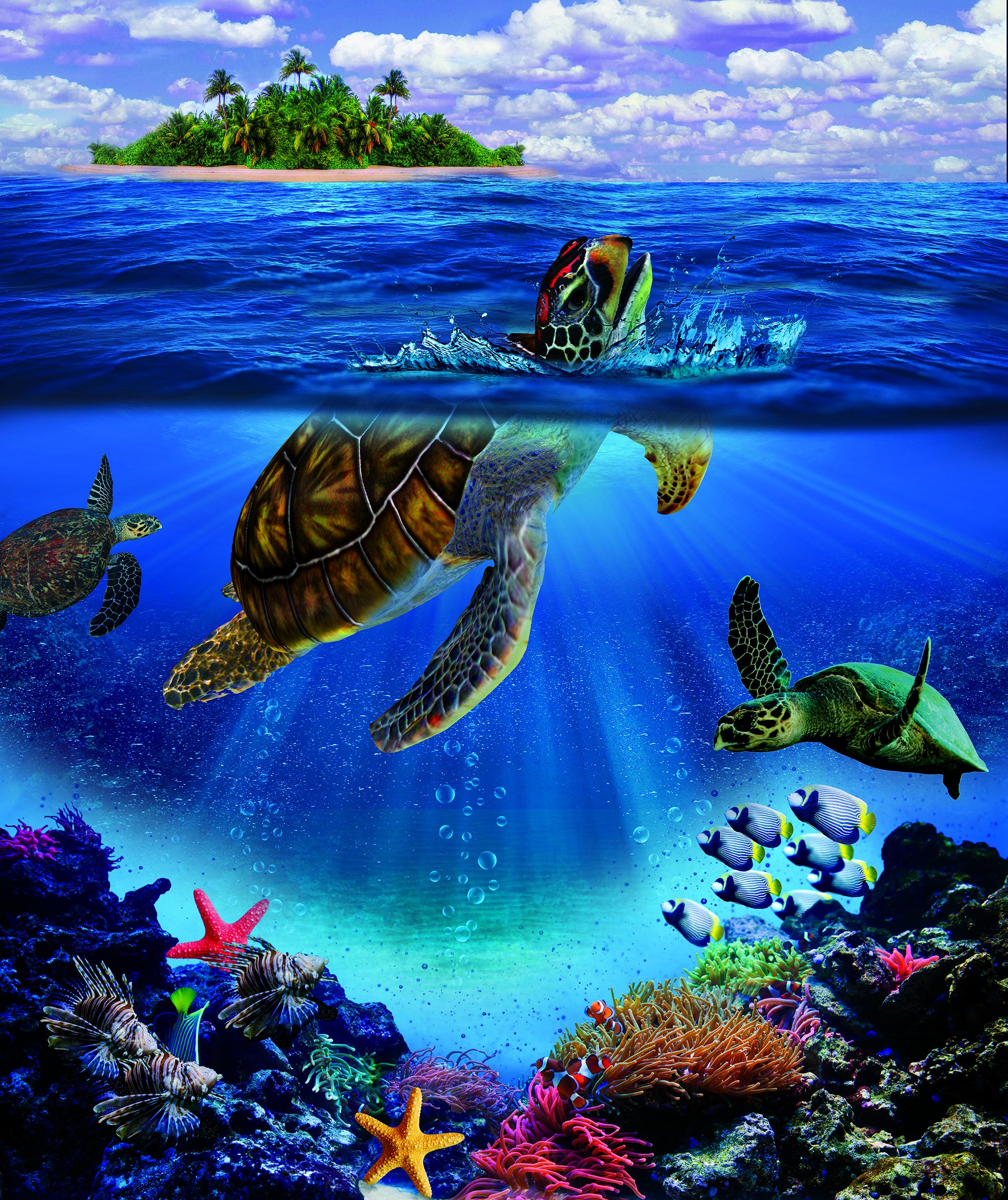 Nu Trendz SignatureSignature Designs Licensed Throw Blanket with Sherpa Lining (Turtle)