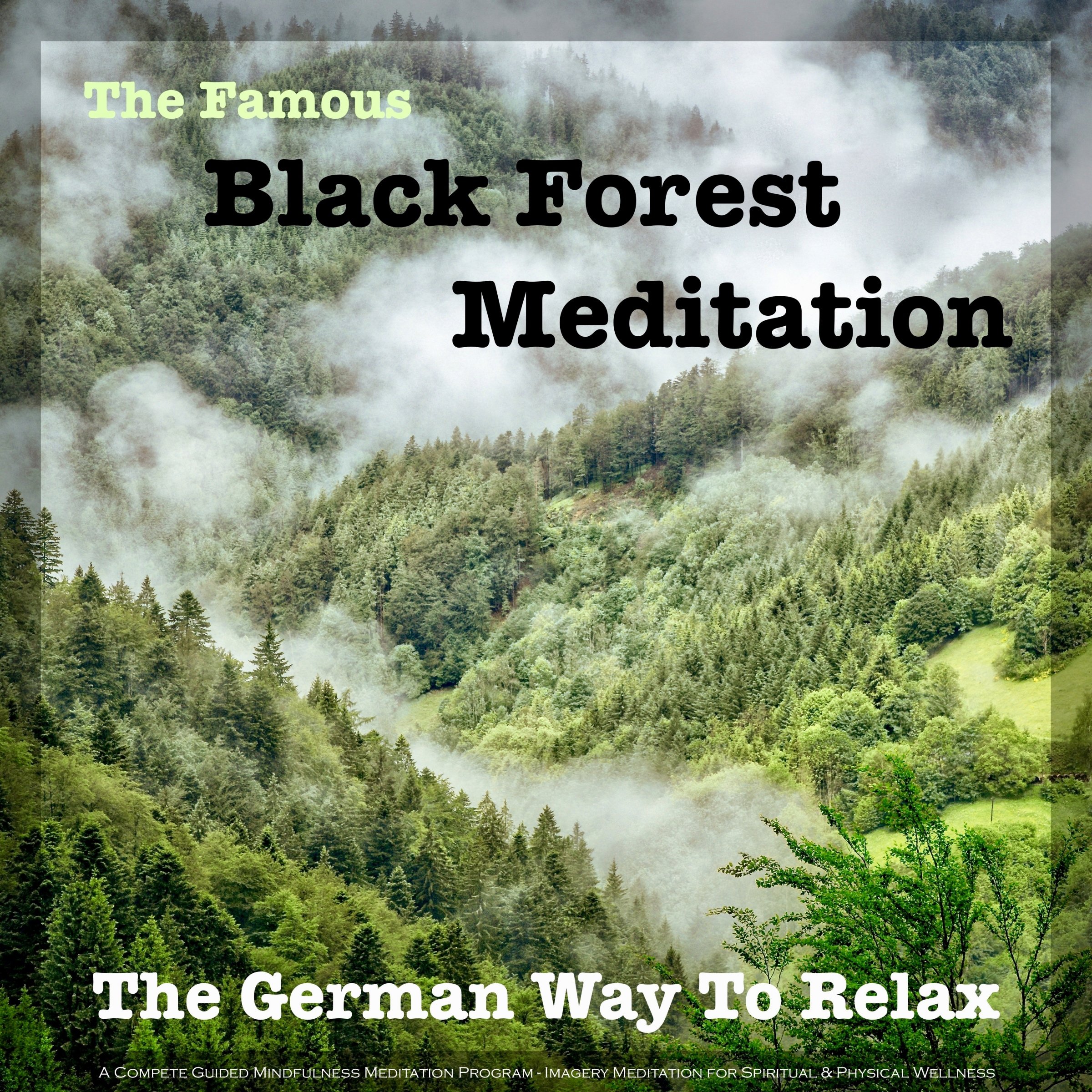 The Famous Black Forest Meditation