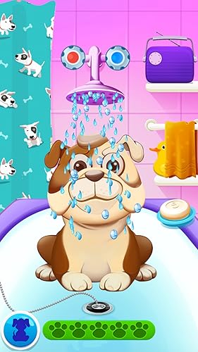 Doggy Daycare - Dog Baby Sitting