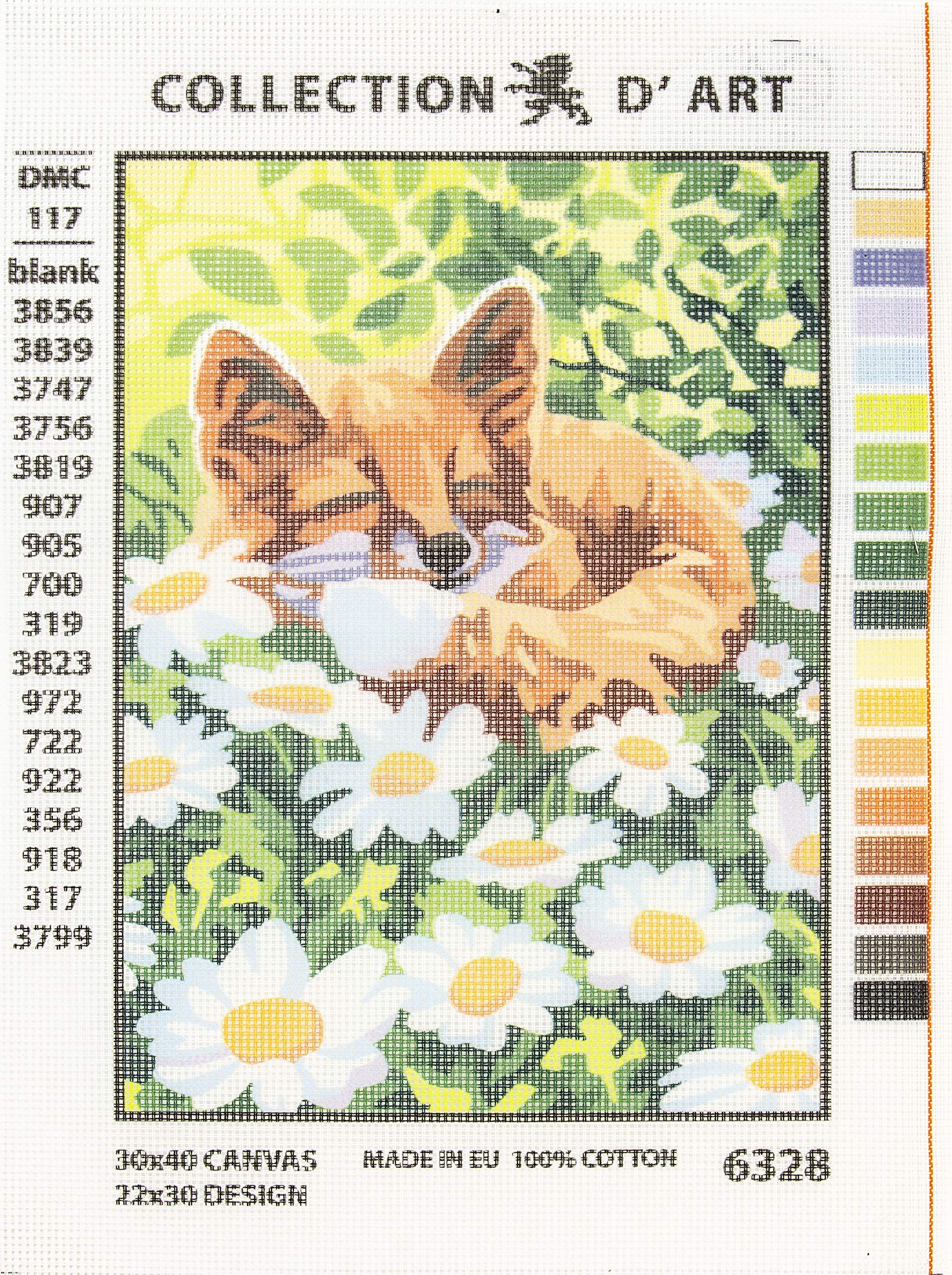 Rto Collection D'art Needlepoint Printed Tapestry Canvas 22X30cm-Fox