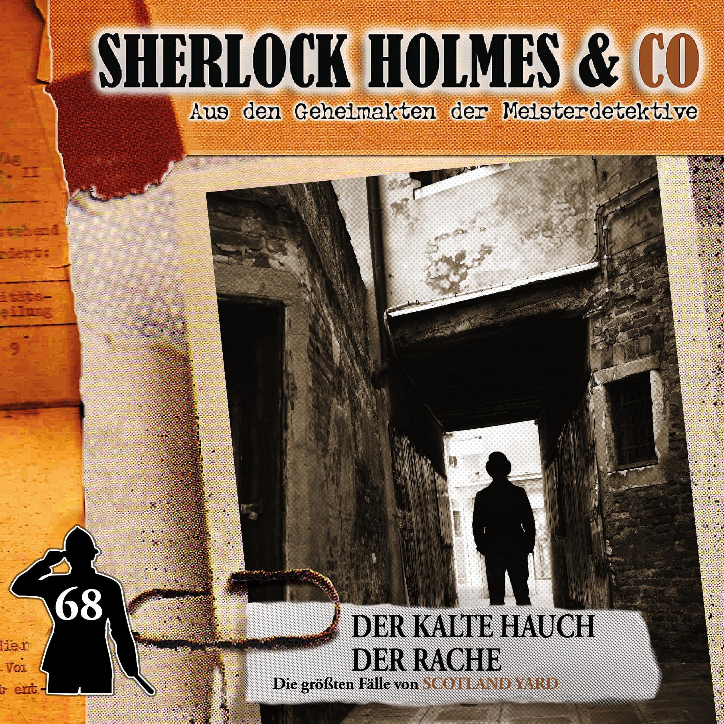 Cover art for Der kalte Hauch der Rache