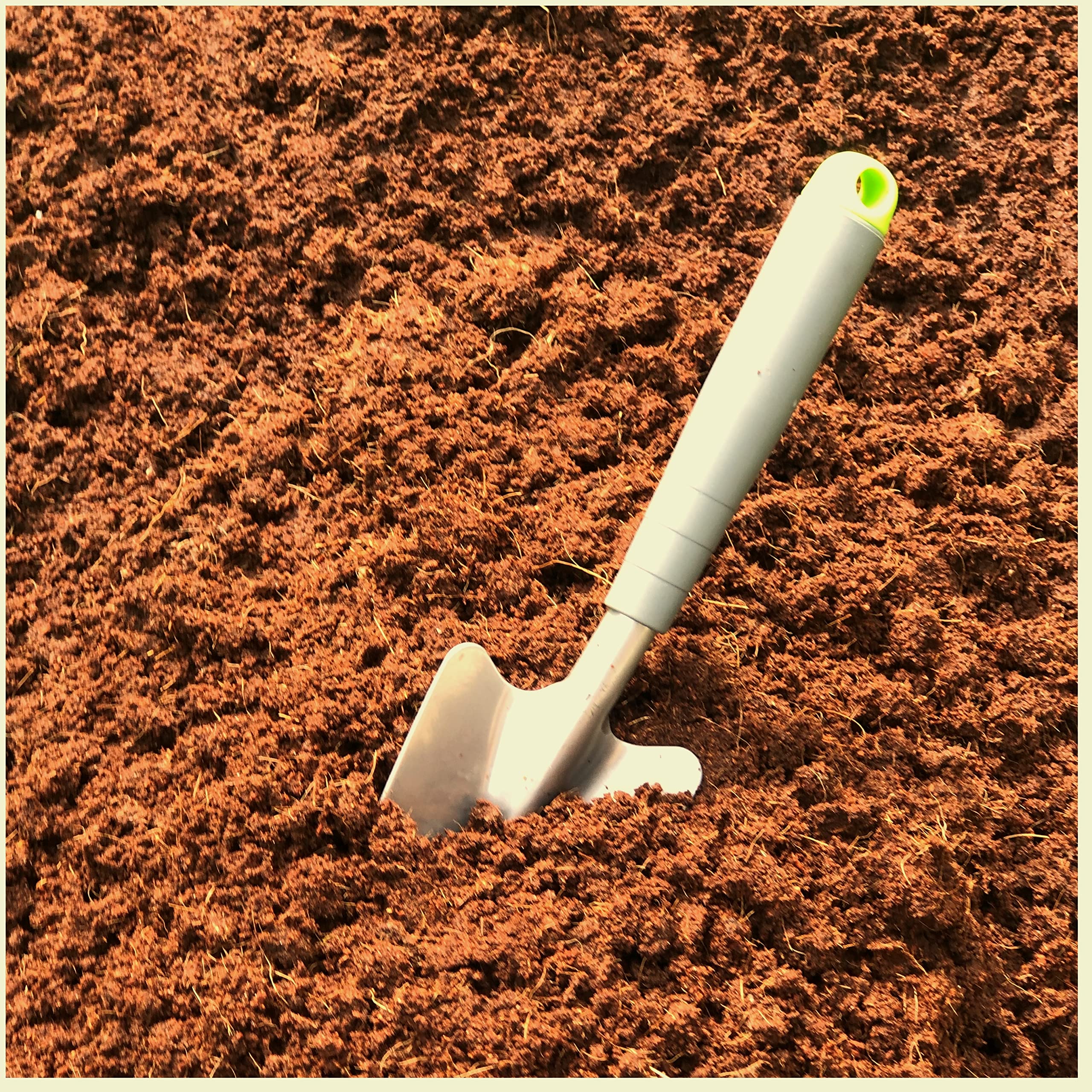 PureGrow Terreau pour plantes succulentes  l'aloe vera 1000 ml sans  tourbe Hydrate  la maison : Amazon.fr: Jardin