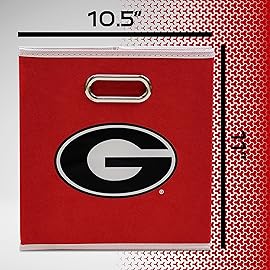 Franklin Sports unisex NCAA Georgia Bulldogs Storage Bin, Team Specific, One Size US