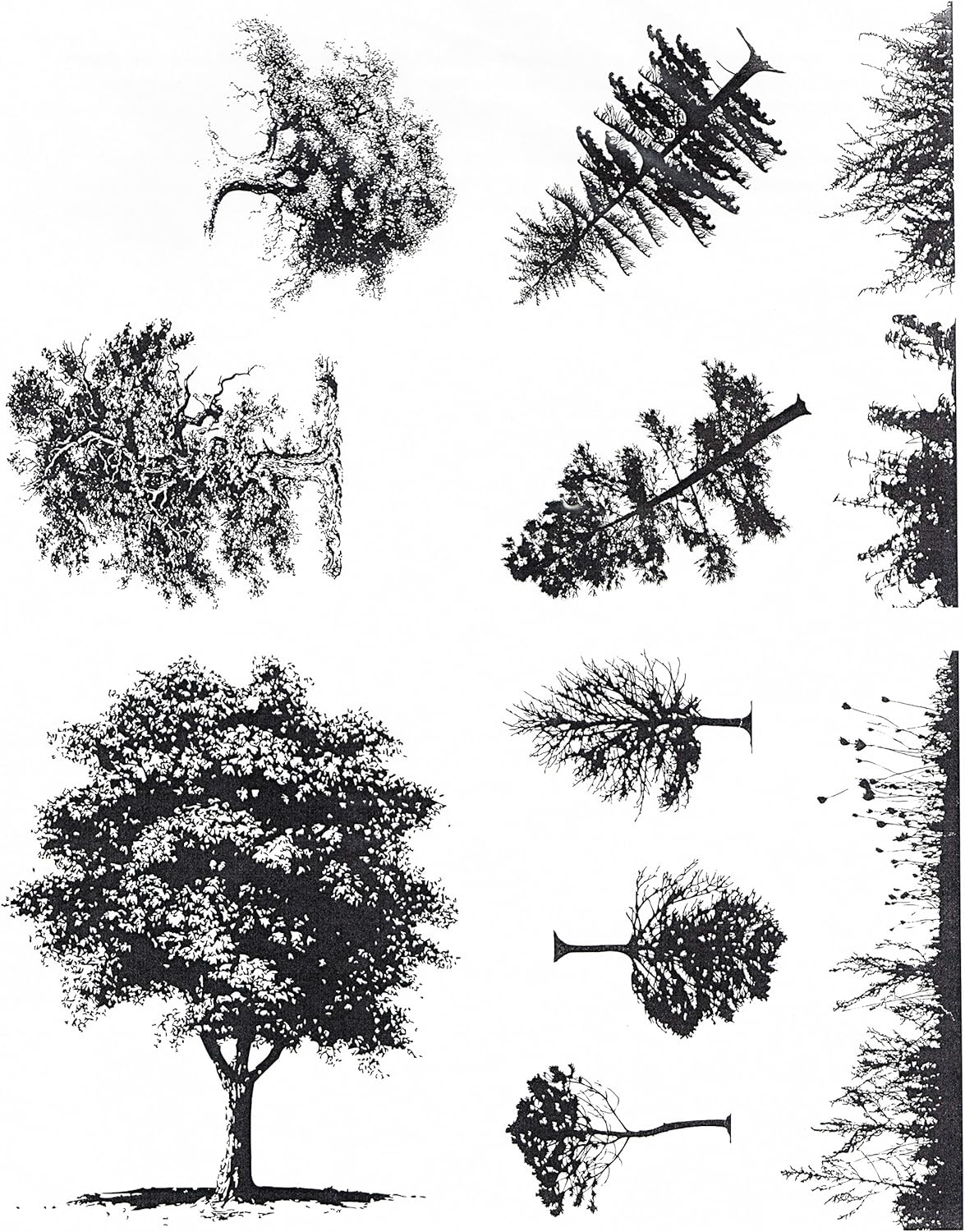 Mayco Designer Silkscreens DSS-110 Trees Designs, for Adding Intricate Drawings to Any Craft Surface