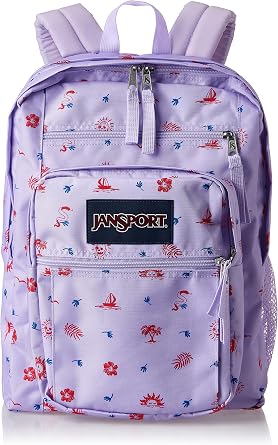 JANSPORT Unisex Laptop Backpack - Computer Bag With 2 Compartments, Ergonomic Shoulder Straps, 15  Laptop Sleeve, Haul Handle - Rucksack Bookbag with 15-Inch Laptop Compartment pack of 1