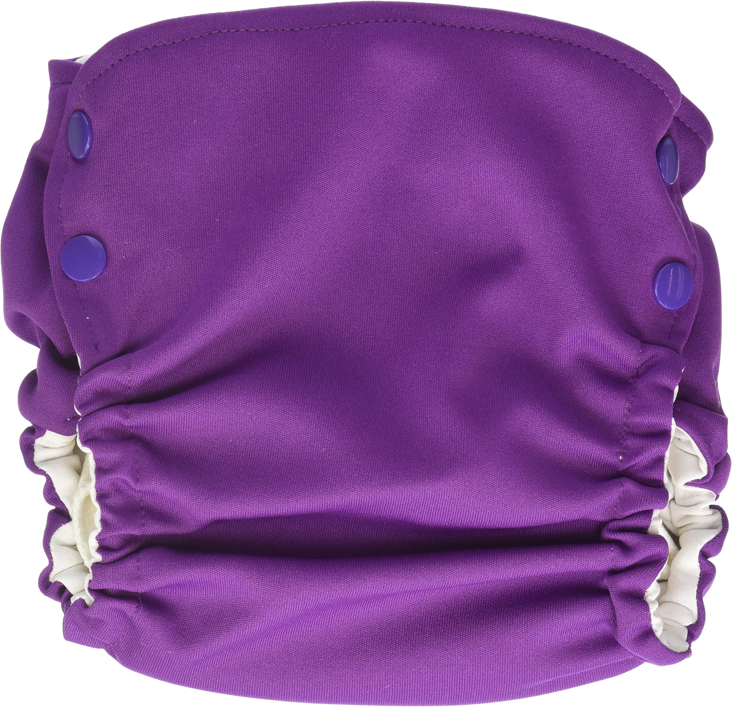 Evolution Diaper Ion Cloth Diaper, Purple