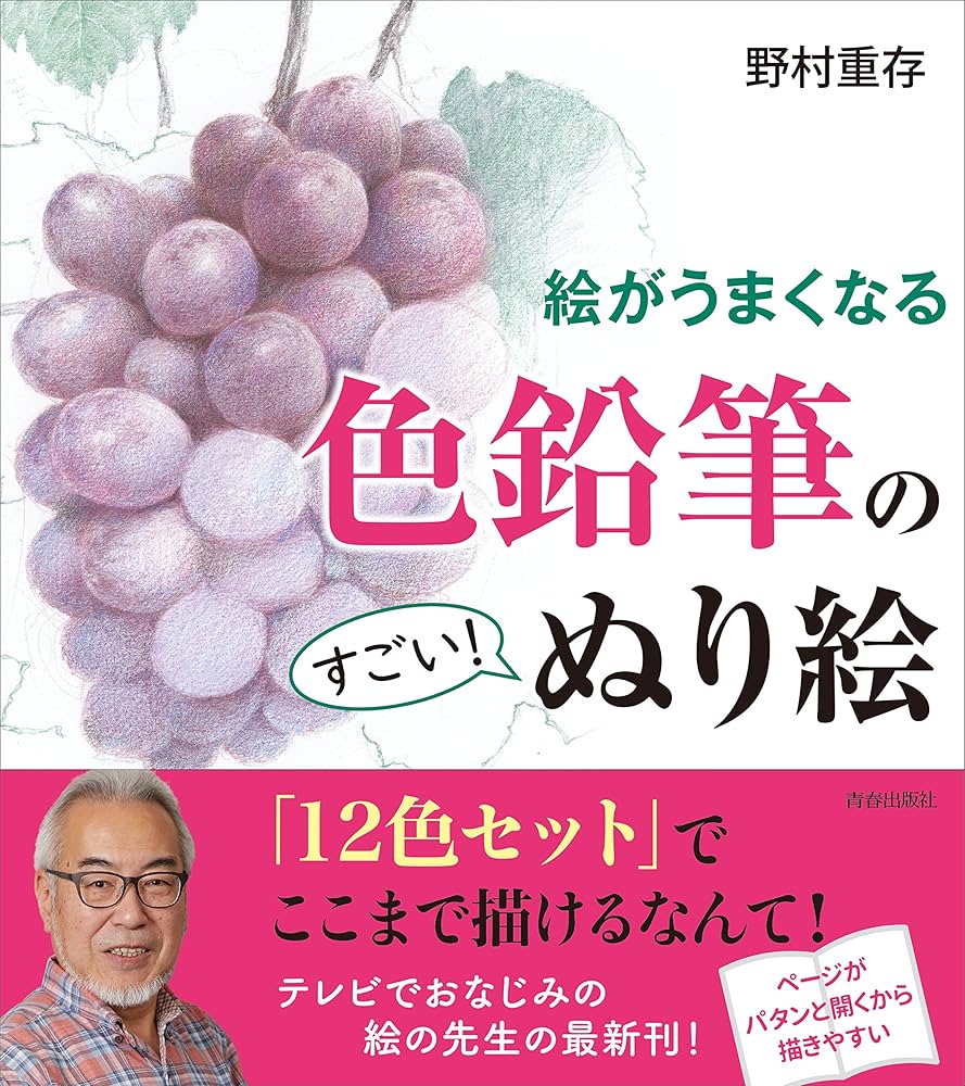 野村重存の風景ぬり絵book 野村重存の風景ぬり絵book