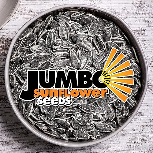 Miniatura 4 de Jumbo Semillas de girasol original 16 onzas paquete de 6
