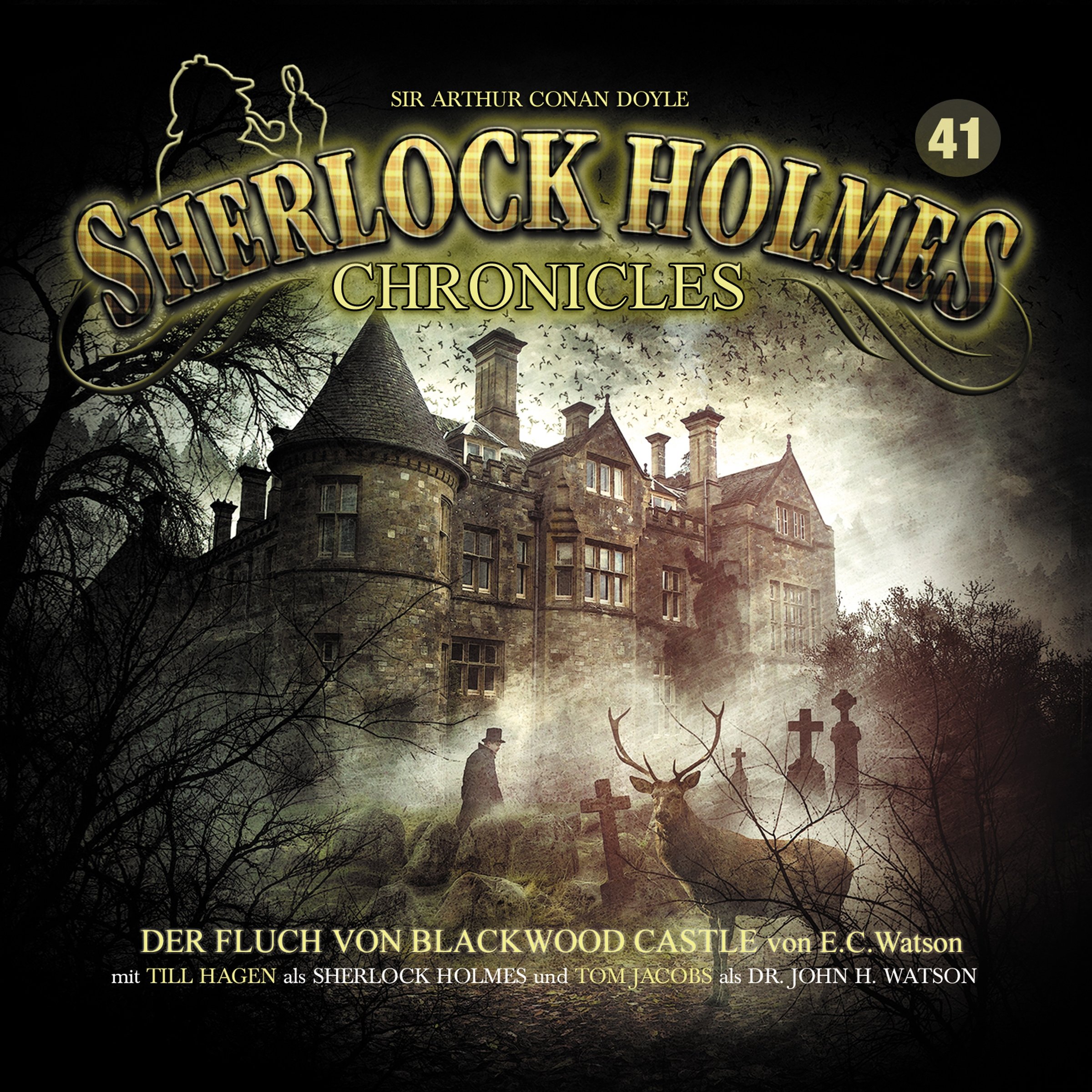 Cover art for Der Fluch von Blackwood Castle