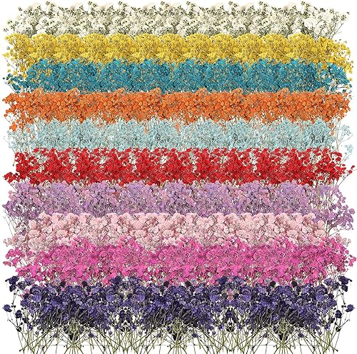 Woanger 200 flores secas de resina para resina, flores secas de aliento de bebé, flores naturales reales prensadas, ramo de gypsophila, ramas de