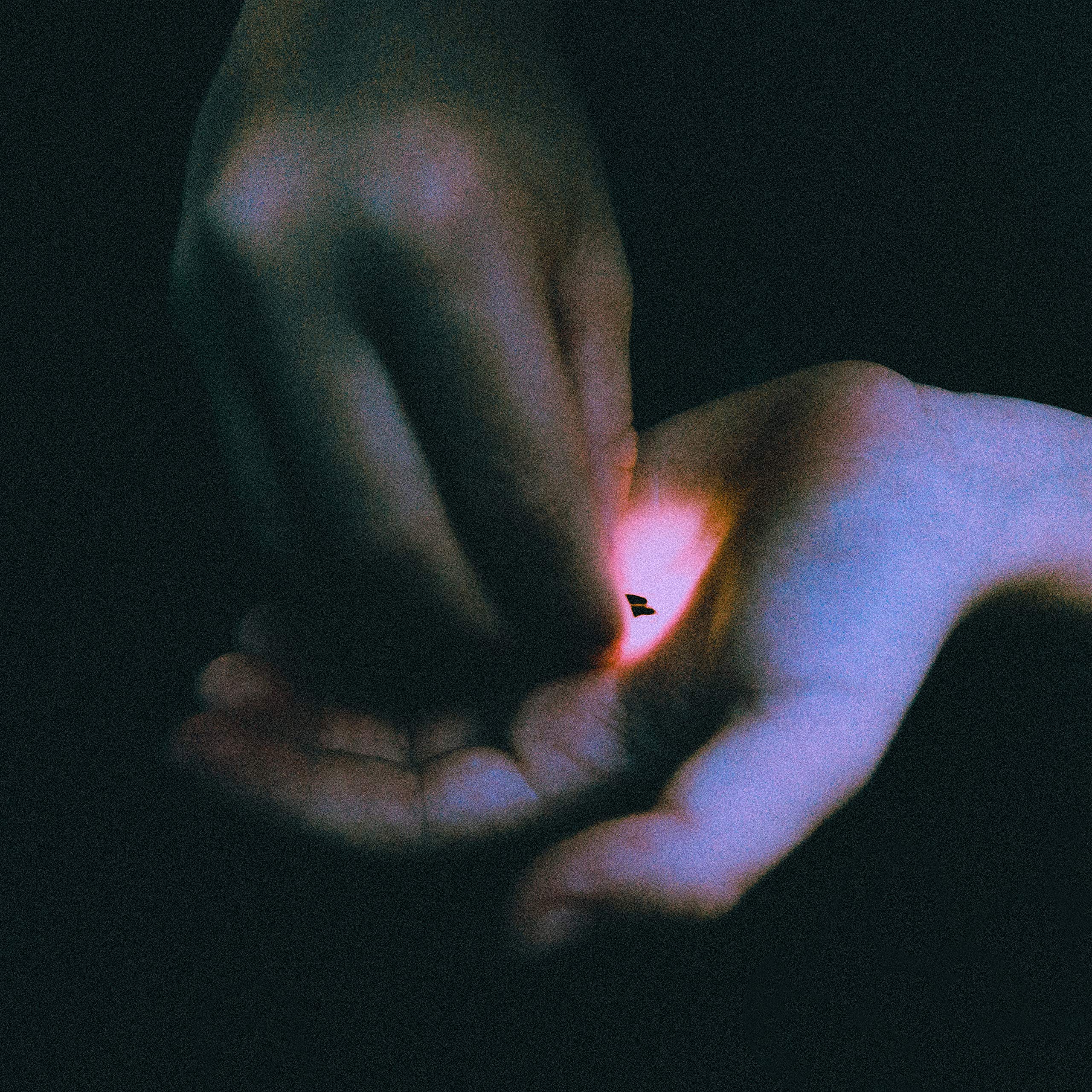 Stray [VINYL]