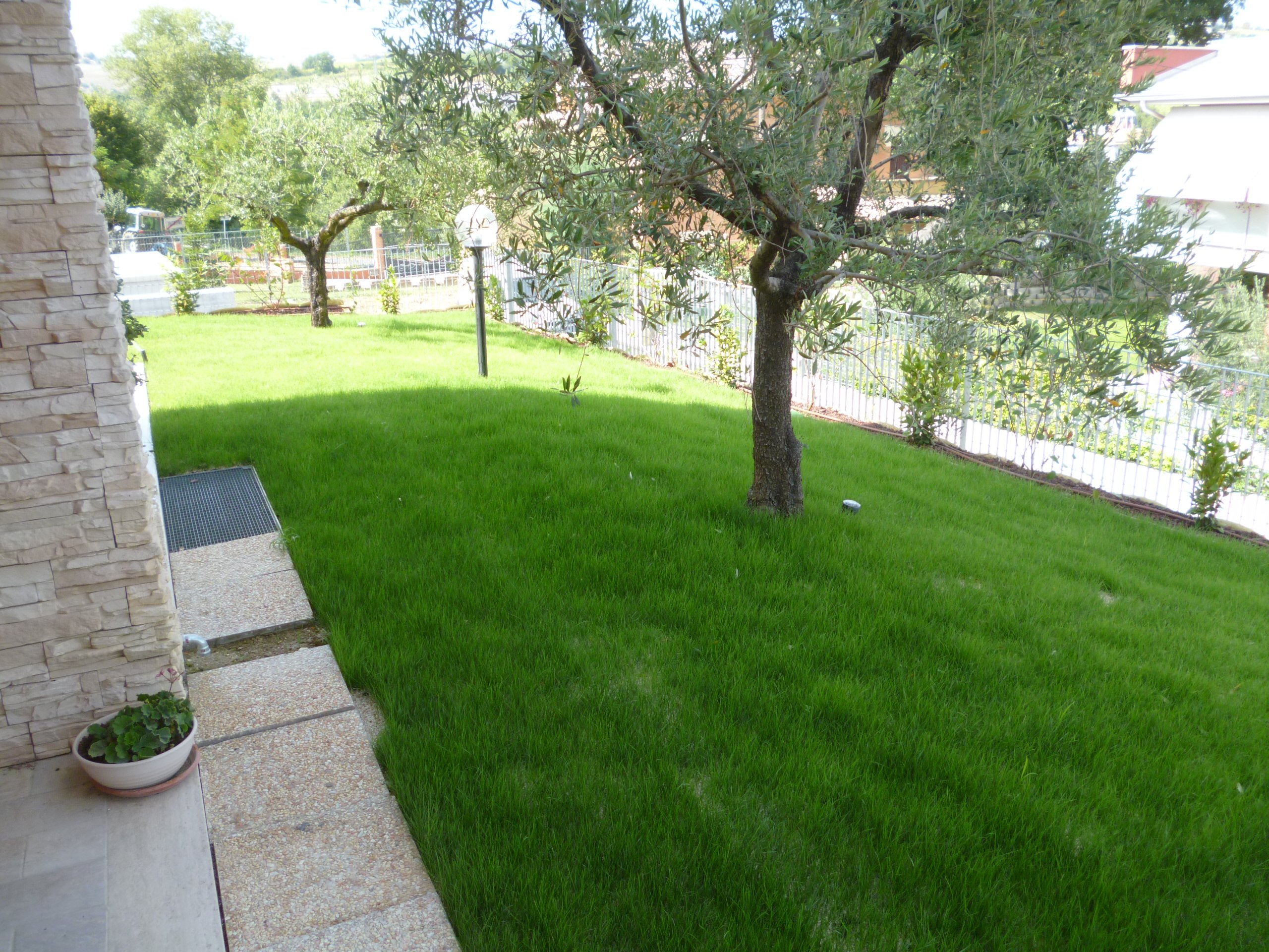 Biotessuto preseminato Viresco Pratens (50 m2)