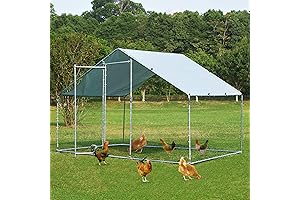 TOETOL Outside Dog Kennel