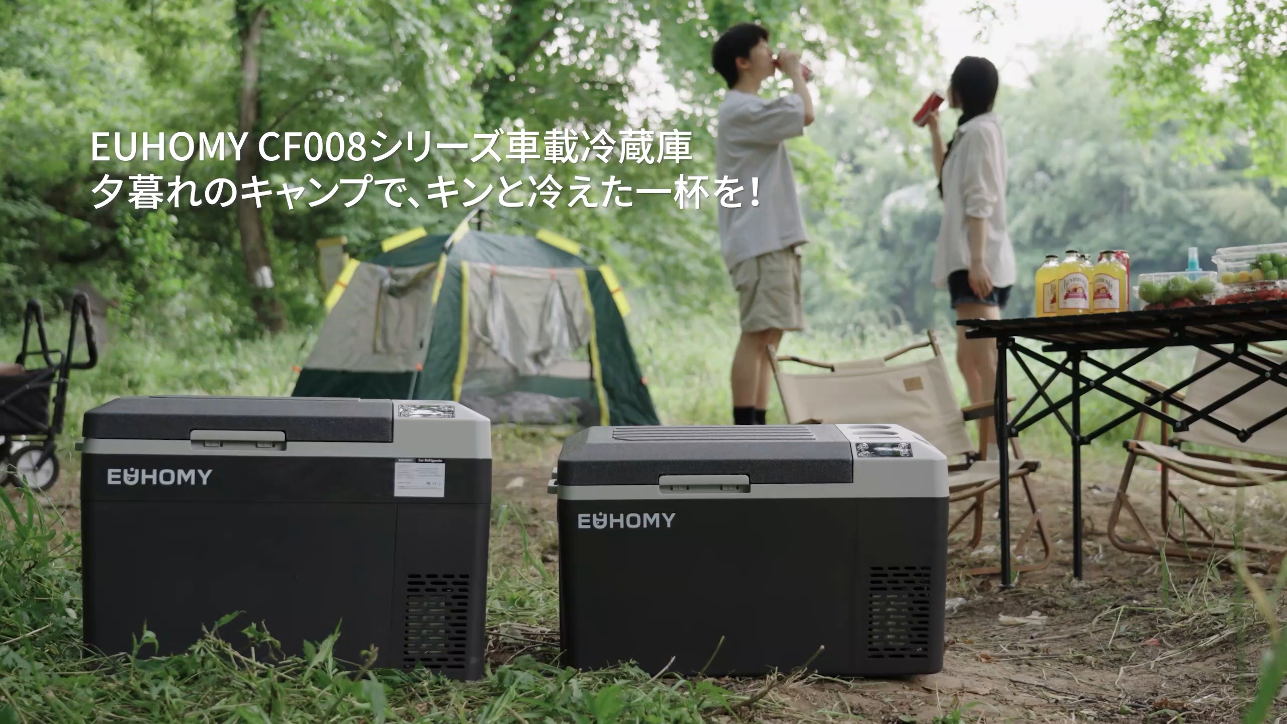 Amazon.co.jp: EUHOMY 車載冷蔵庫 バッテリー内蔵可能 ポータブル
