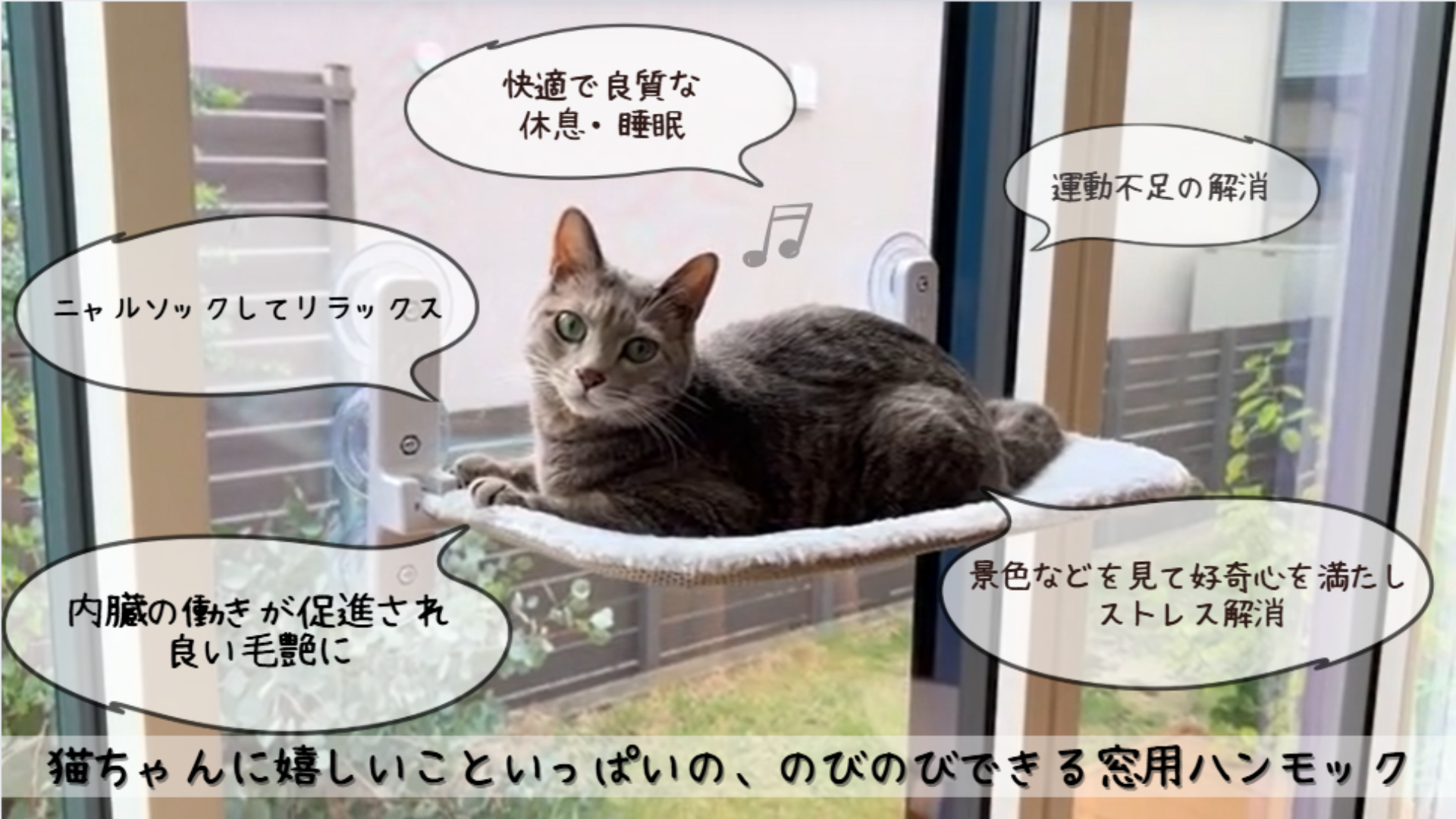 Amazon.co.jp: 超強力吸盤6個 fabuon life ねこのきもち・猫びより掲載