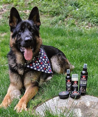 Miniatura 5 de PetAseptic Spray repelente de pulgas y garrapatas para perros  Sin DEET  Repele mosquitos, pulgas, garrapatas, moscas de ciervo, moscas negras y más