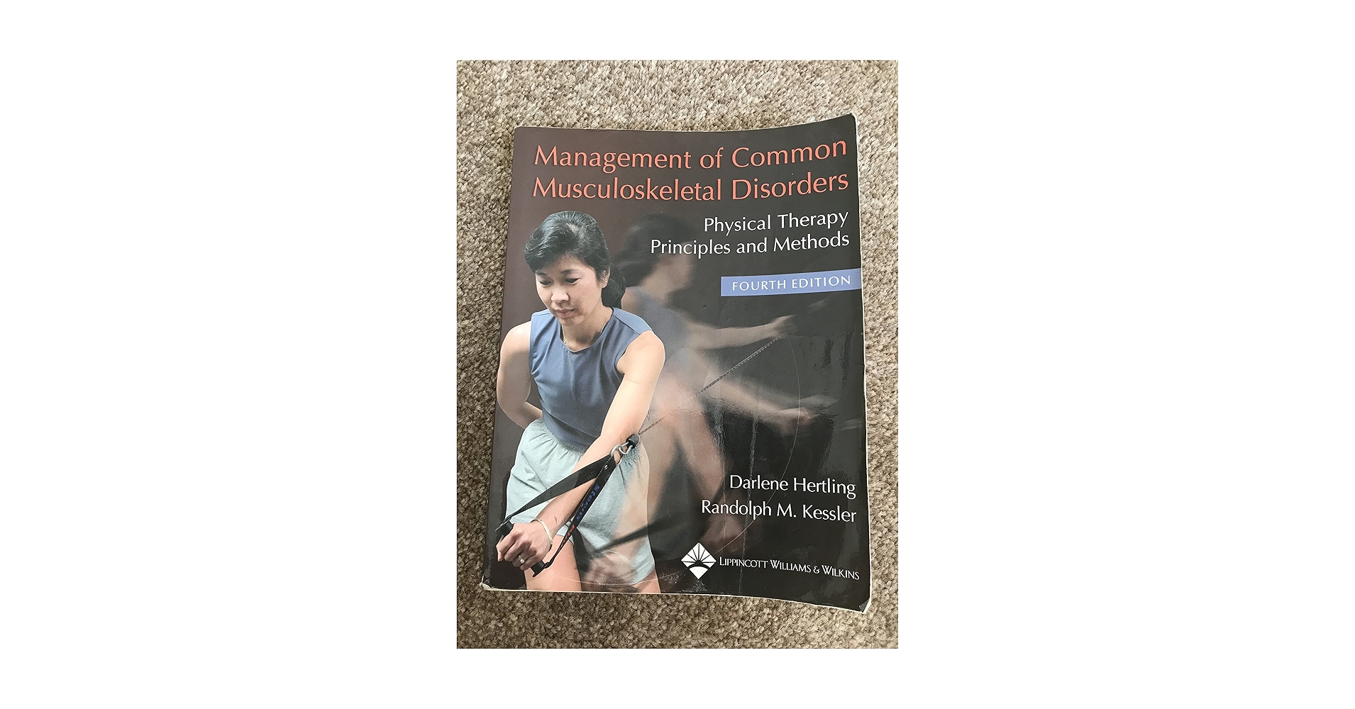 語学・辞書・学習参考書 28.Encyclopedia of Remedy Relationships Amazon.com: English Studies: An Introduction to the